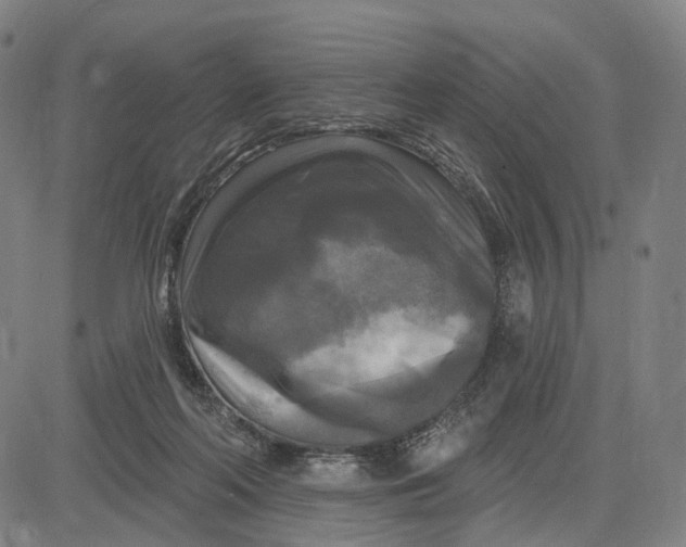 X0000083650214200703051734