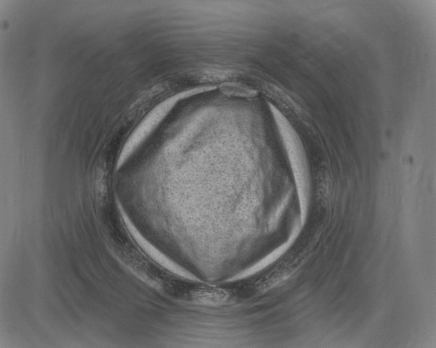 X0000083650215200703051734