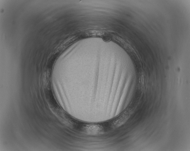 X0000083650218200703051734