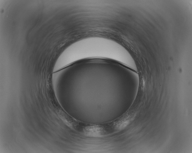 X0000083650219200703051734