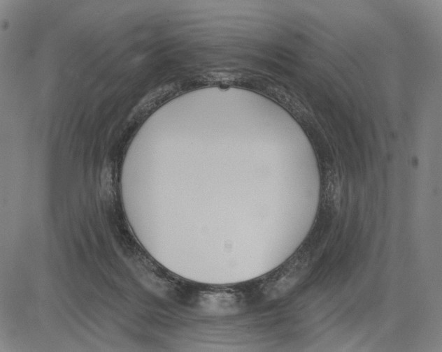 X0000083650220200703051734