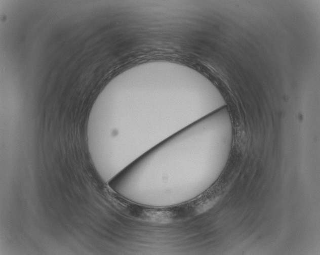 X0000083650221200703051734