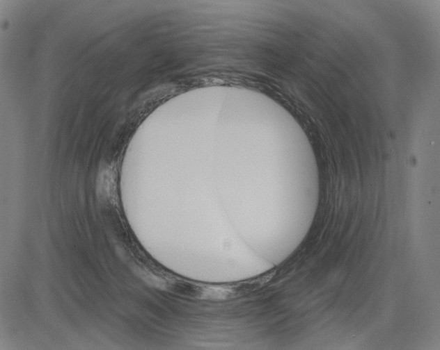 X0000083650222200703051734