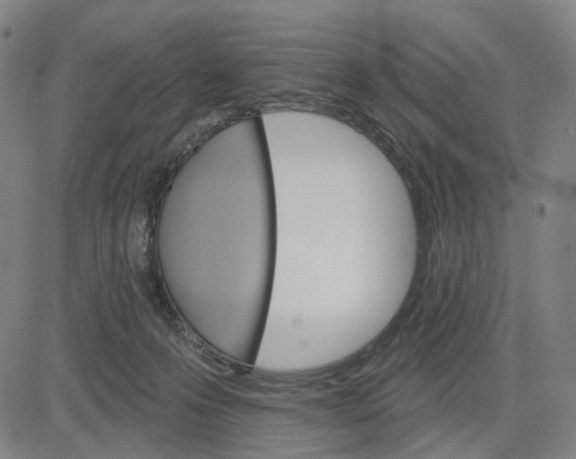 X0000083650223200703051734