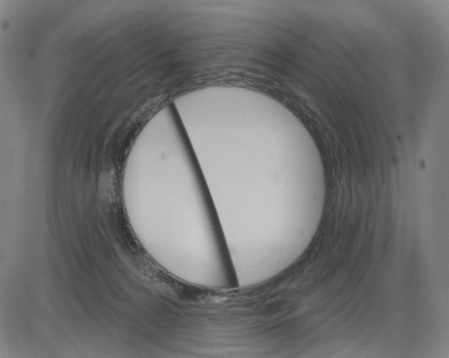 X0000083650224200703051734