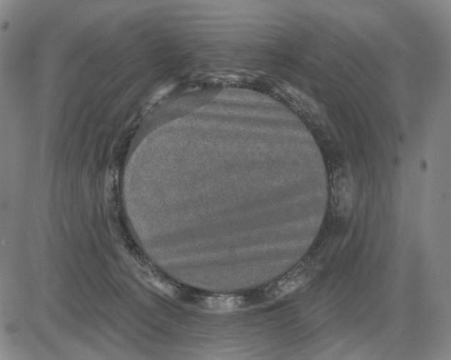 X0000083650225200703051734