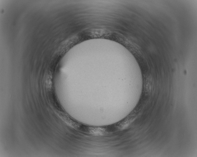 X0000083650226200703051734