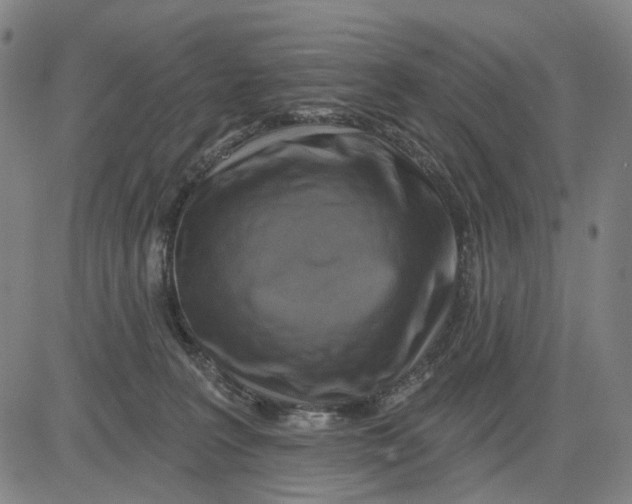 X0000083650227200703051734