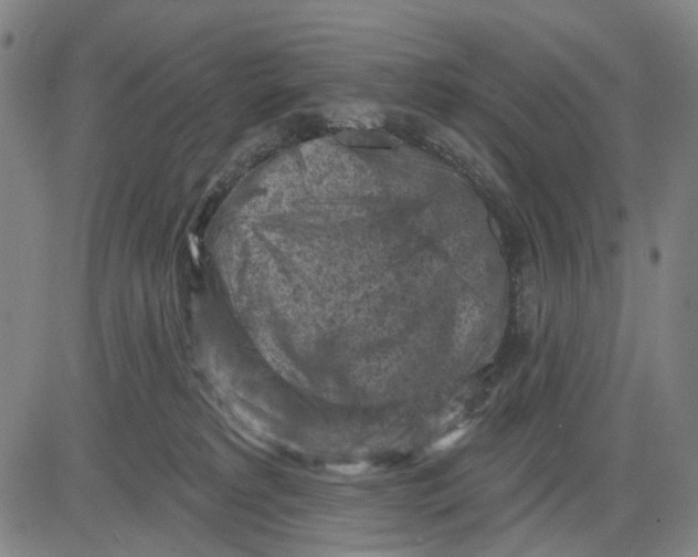 X0000083650229200703051734