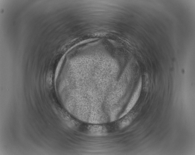 X0000083650230200703051734