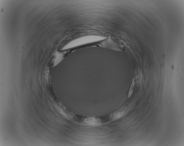 X0000083650231200703051734