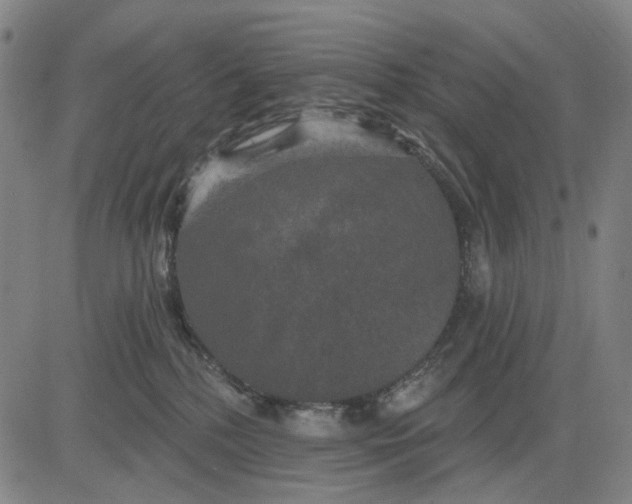 X0000083650232200703051734