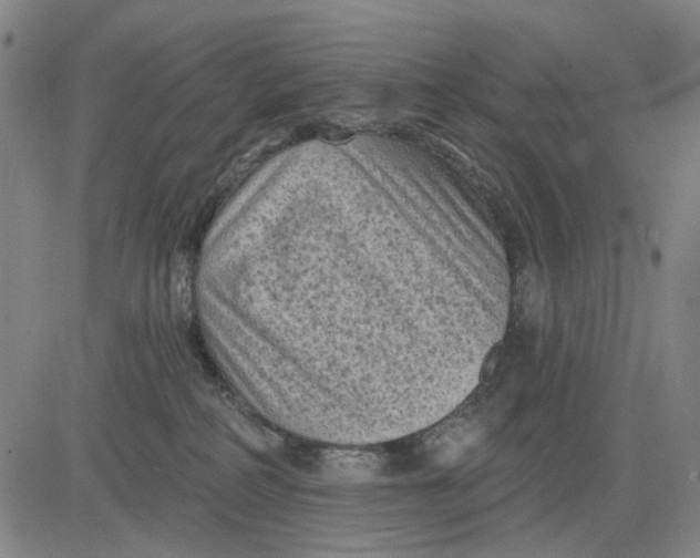 X0000083650234200703051734