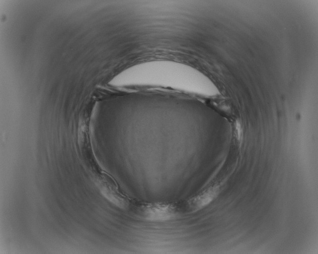 X0000083650235200703051734