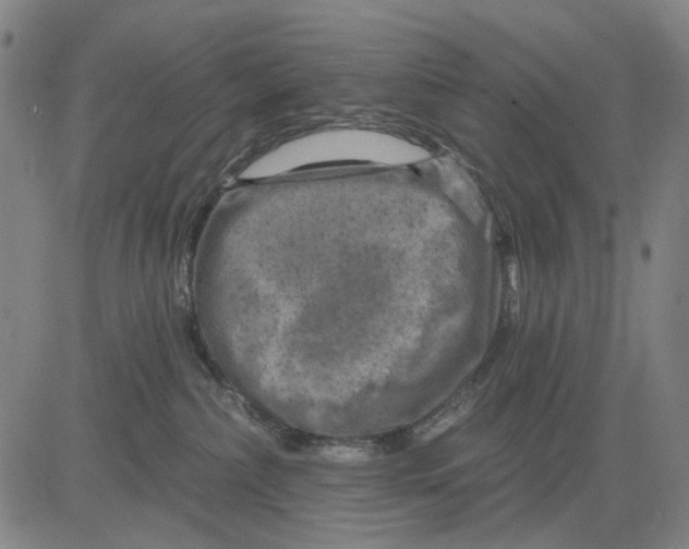 X0000083650236200703051734