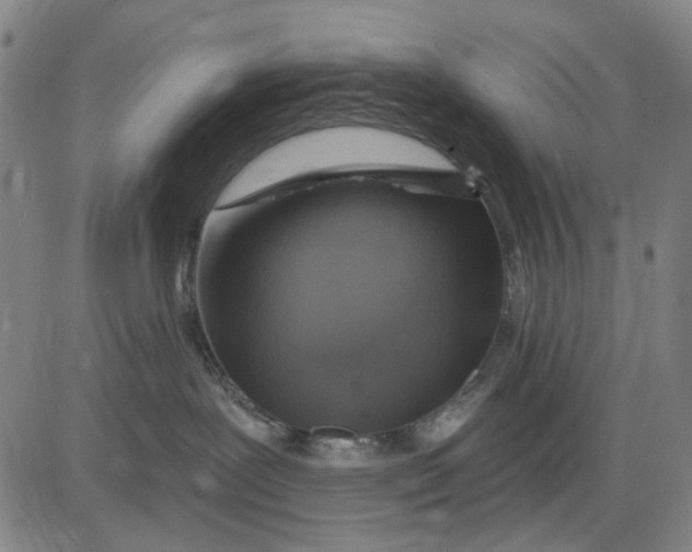 X0000083650239200703051734