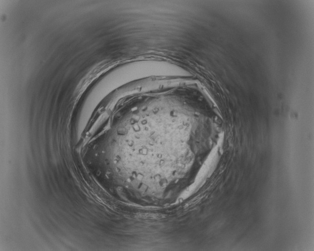 X0000083650242200703051733