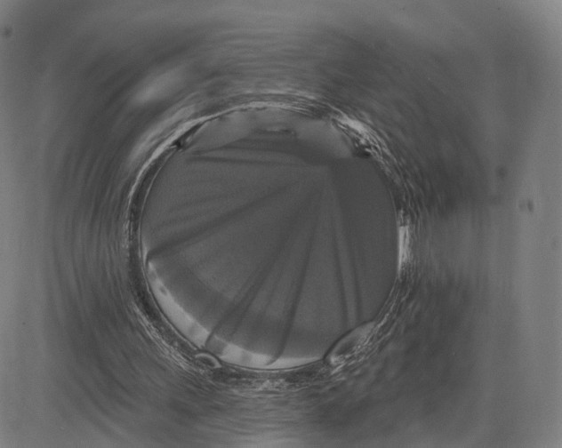 X0000083650243200703051733