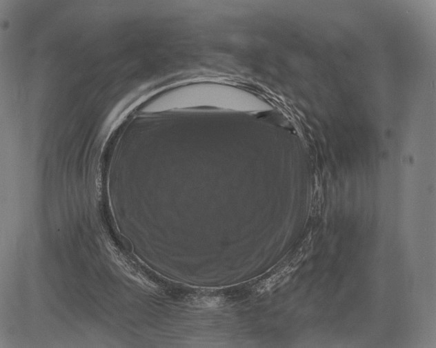 X0000083650247200703051733