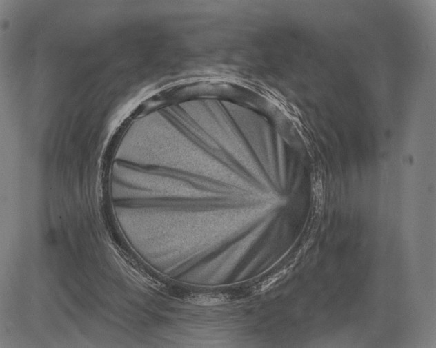 X0000083650248200703051733