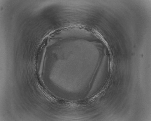 X0000083650249200703051733