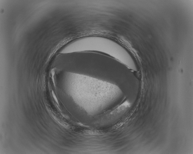 X0000083650250200703051733