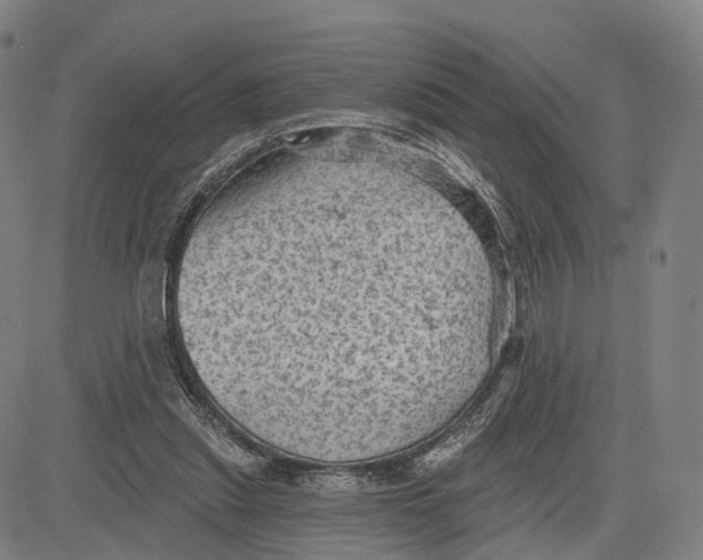 X0000083650253200703051733