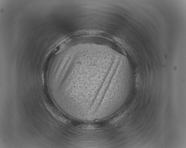 X0000083650254200703051733