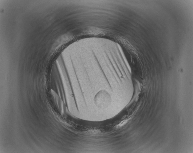 X0000083650256200703051734