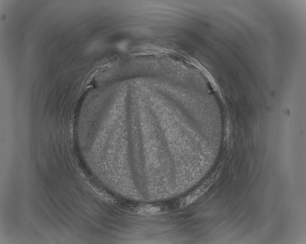 X0000083650257200703051734