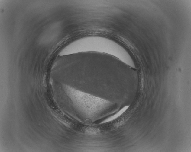 X0000083650258200703051734