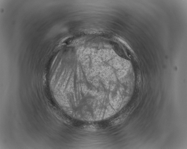 X0000083650259200703051734