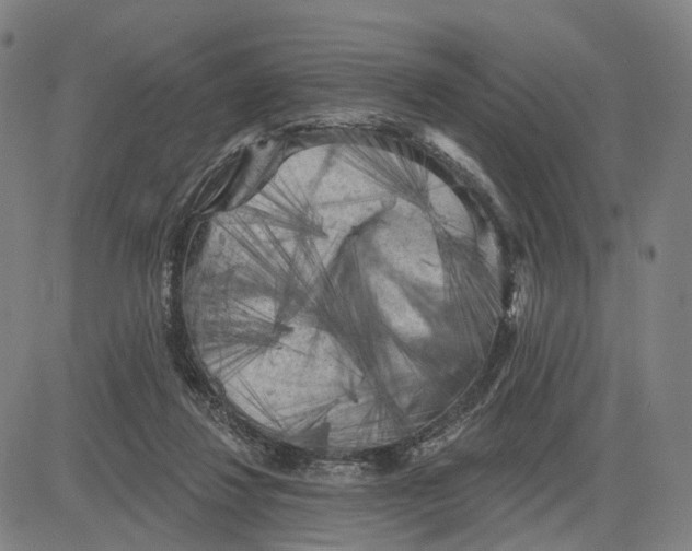 X0000083650260200703051734