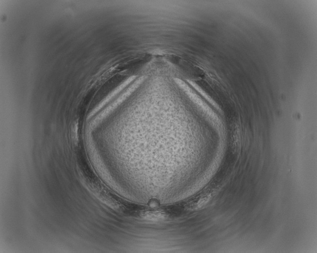 X0000083650262200703051734