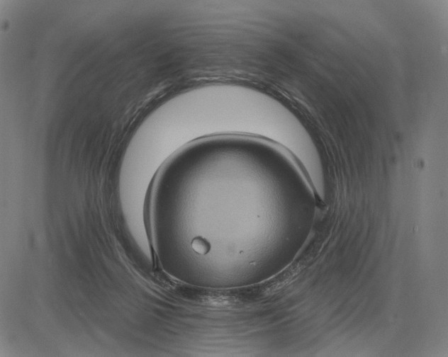 X0000083650264200703051734