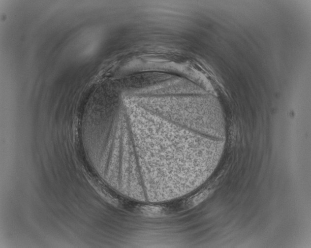 X0000083650265200703051734