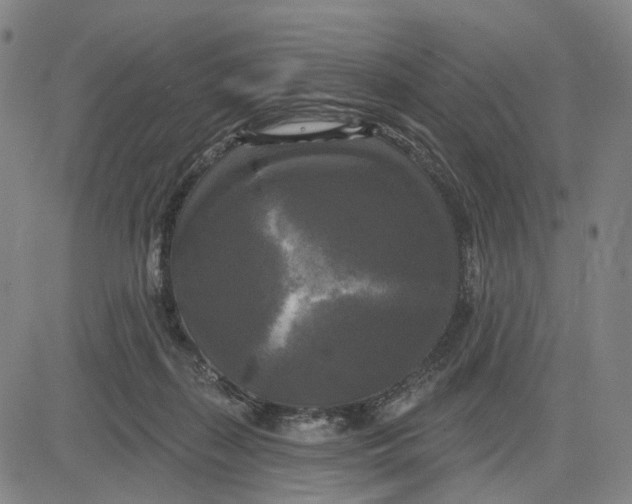 X0000083650267200703051734