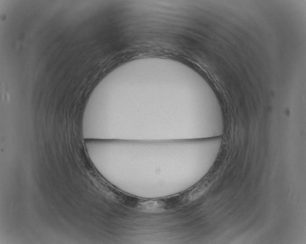 X0000083650269200703051734