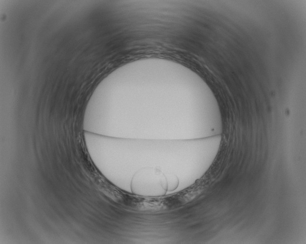 X0000083650270200703051734