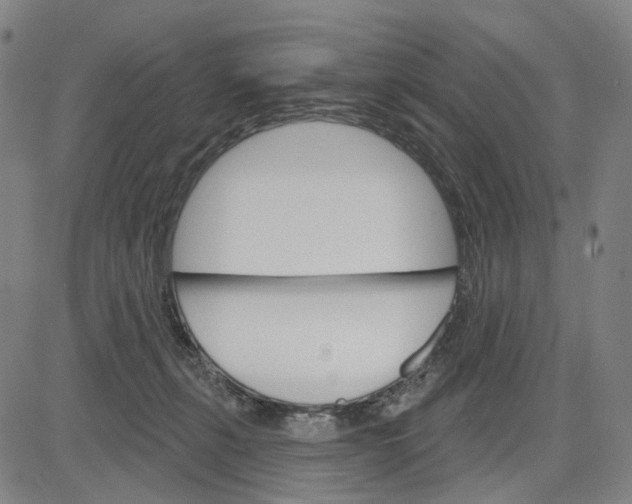 X0000083650271200703051734