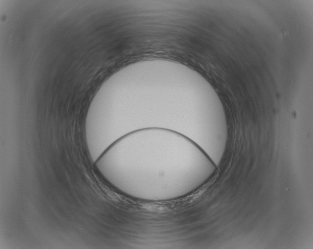 X0000083650272200703051734