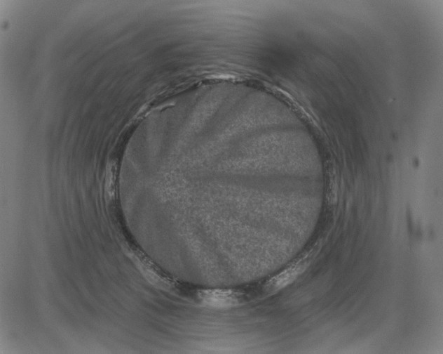 X0000083650273200703051734