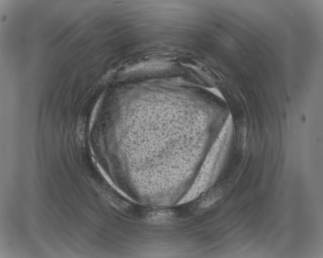 X0000083650274200703051734