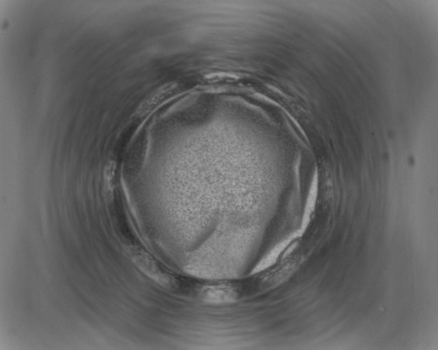 X0000083650275200703051734