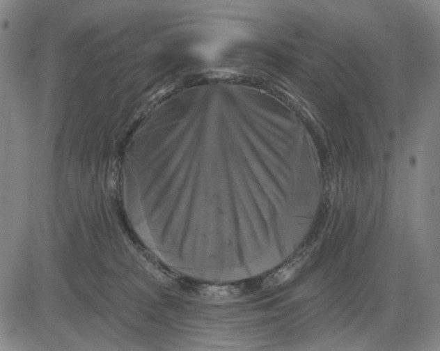 X0000083650277200703051734