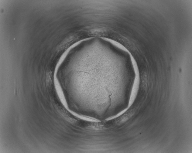 X0000083650278200703051734