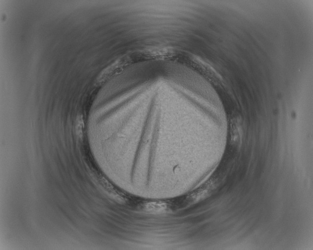 X0000083650279200703051734