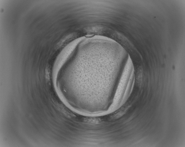 X0000083650282200703051734