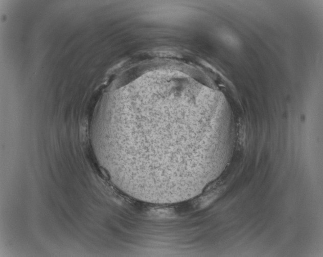 X0000083650283200703051734