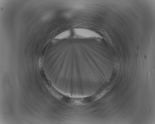 X0000083650285200703051734